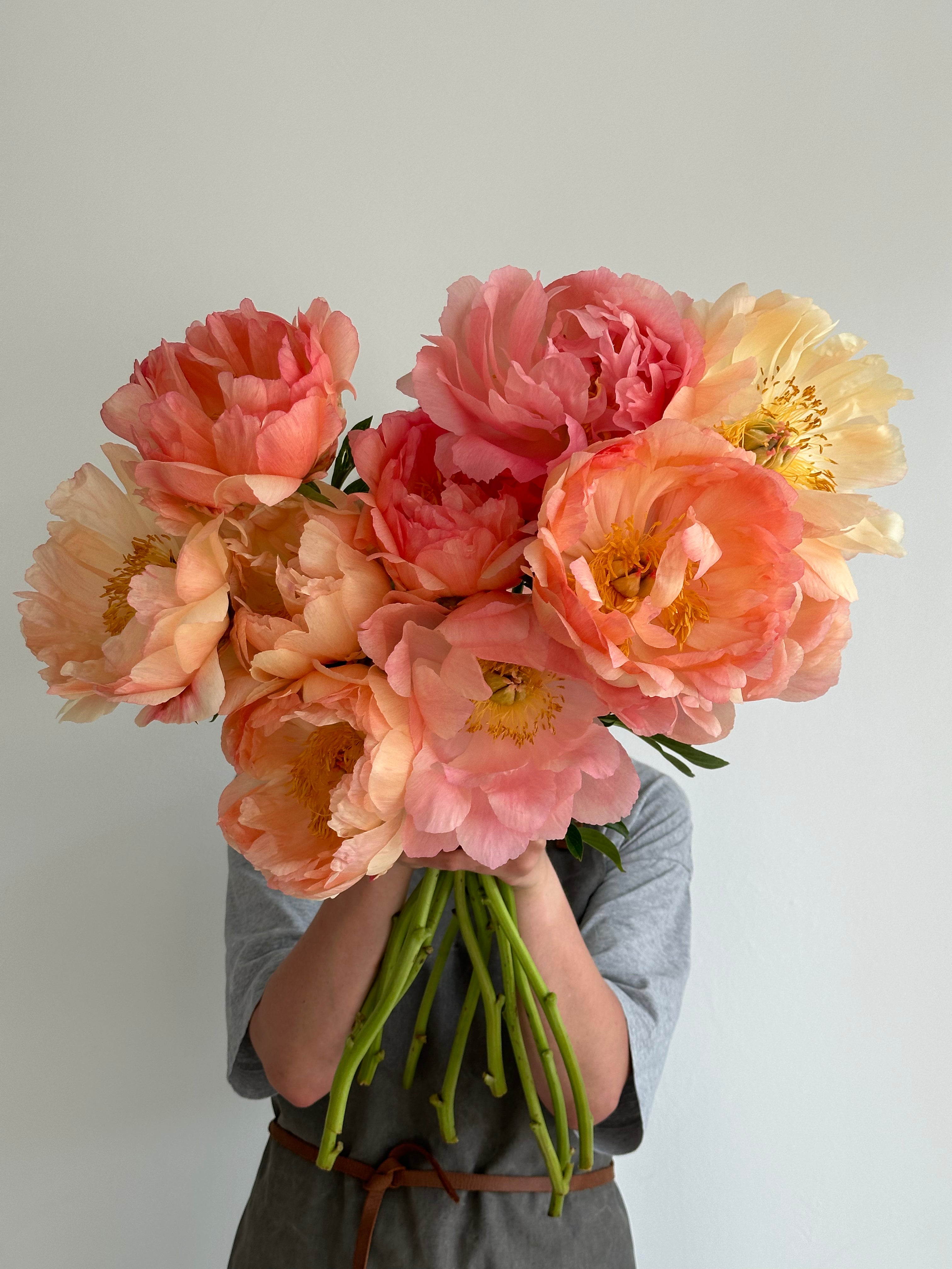 Peony Coral Sunset