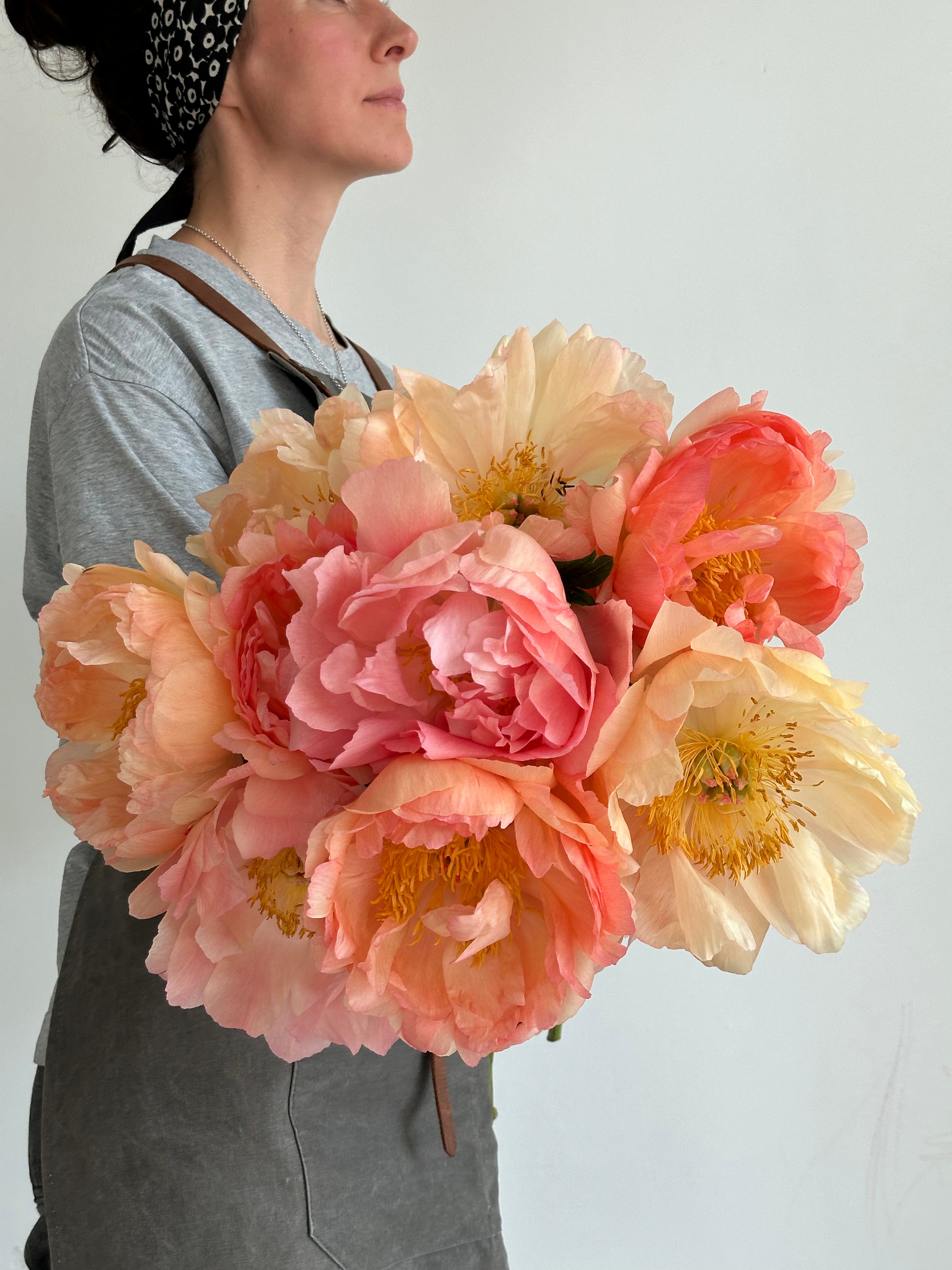 Peony Coral Sunset