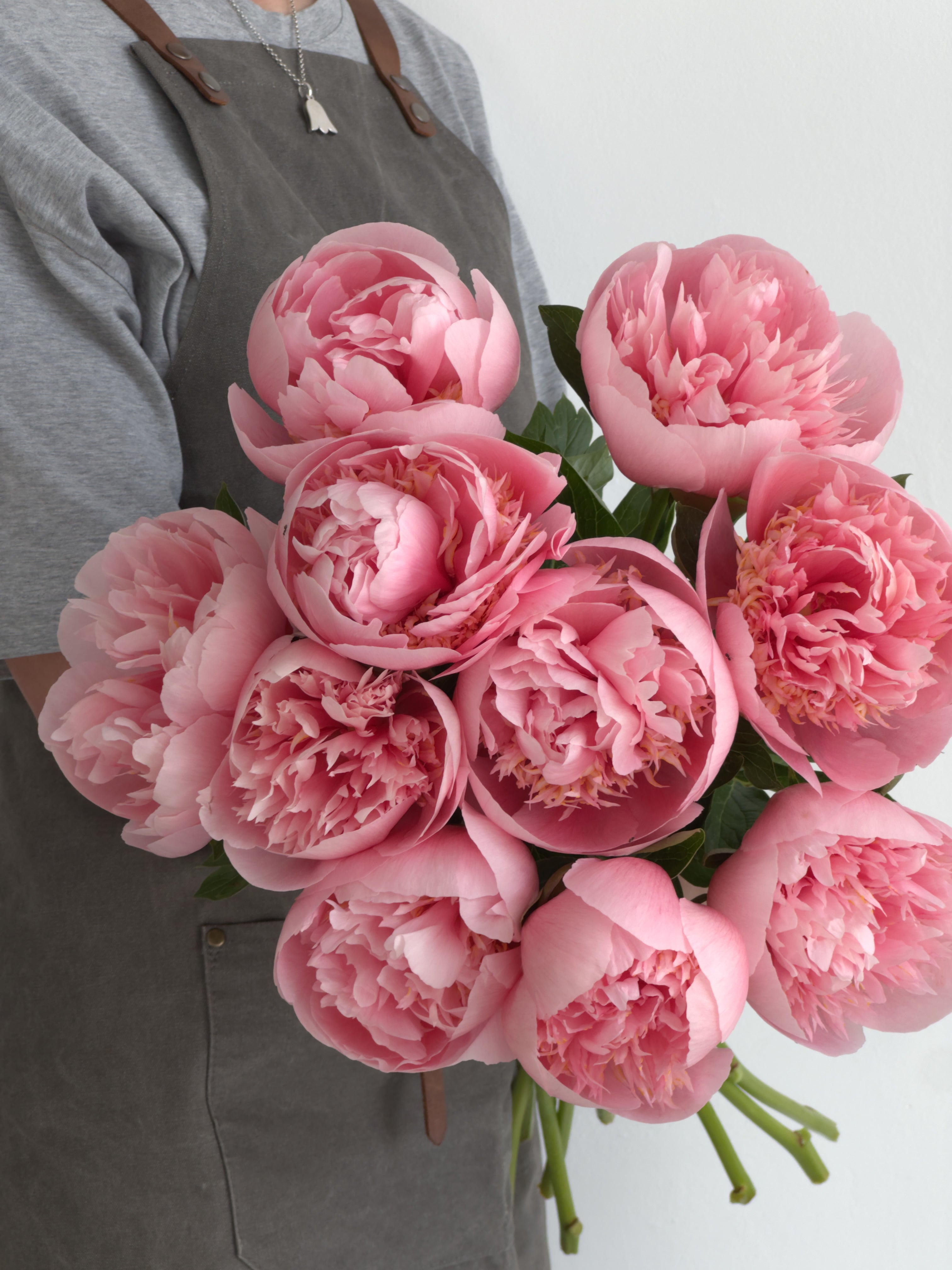 Peony Etched Salmon