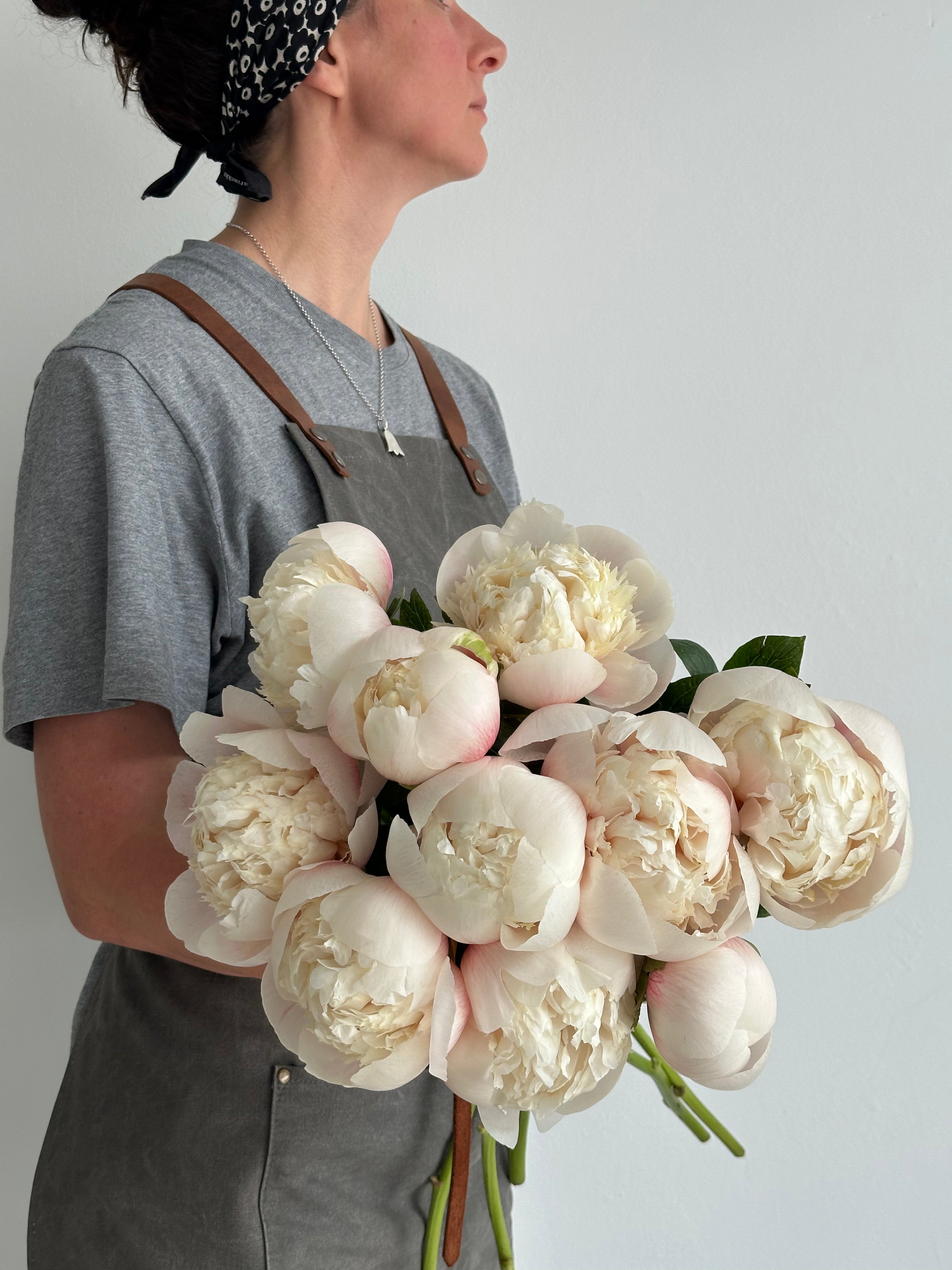Peony Colonel Owen Cousins
