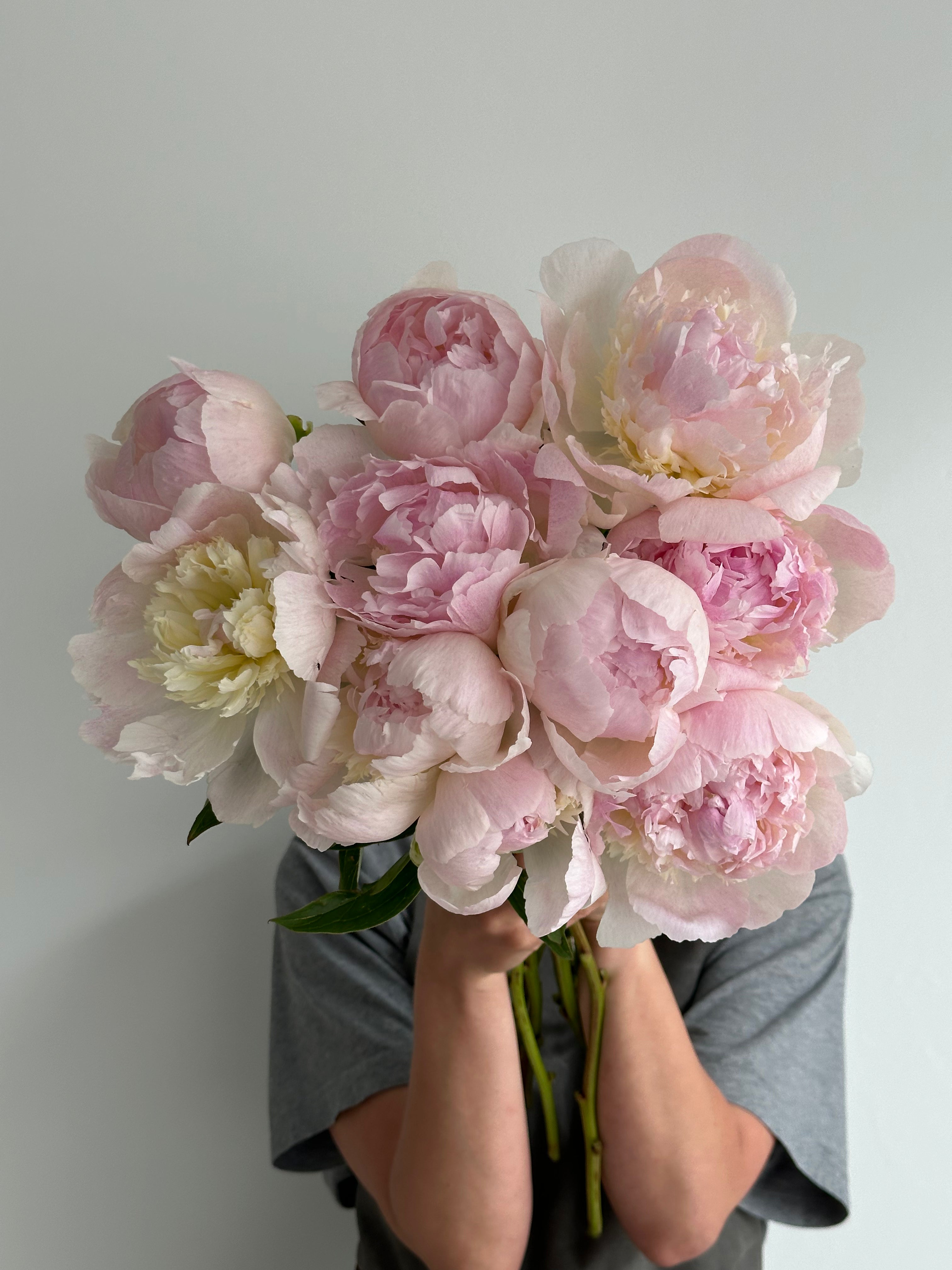 Peony Chiffon Parfait