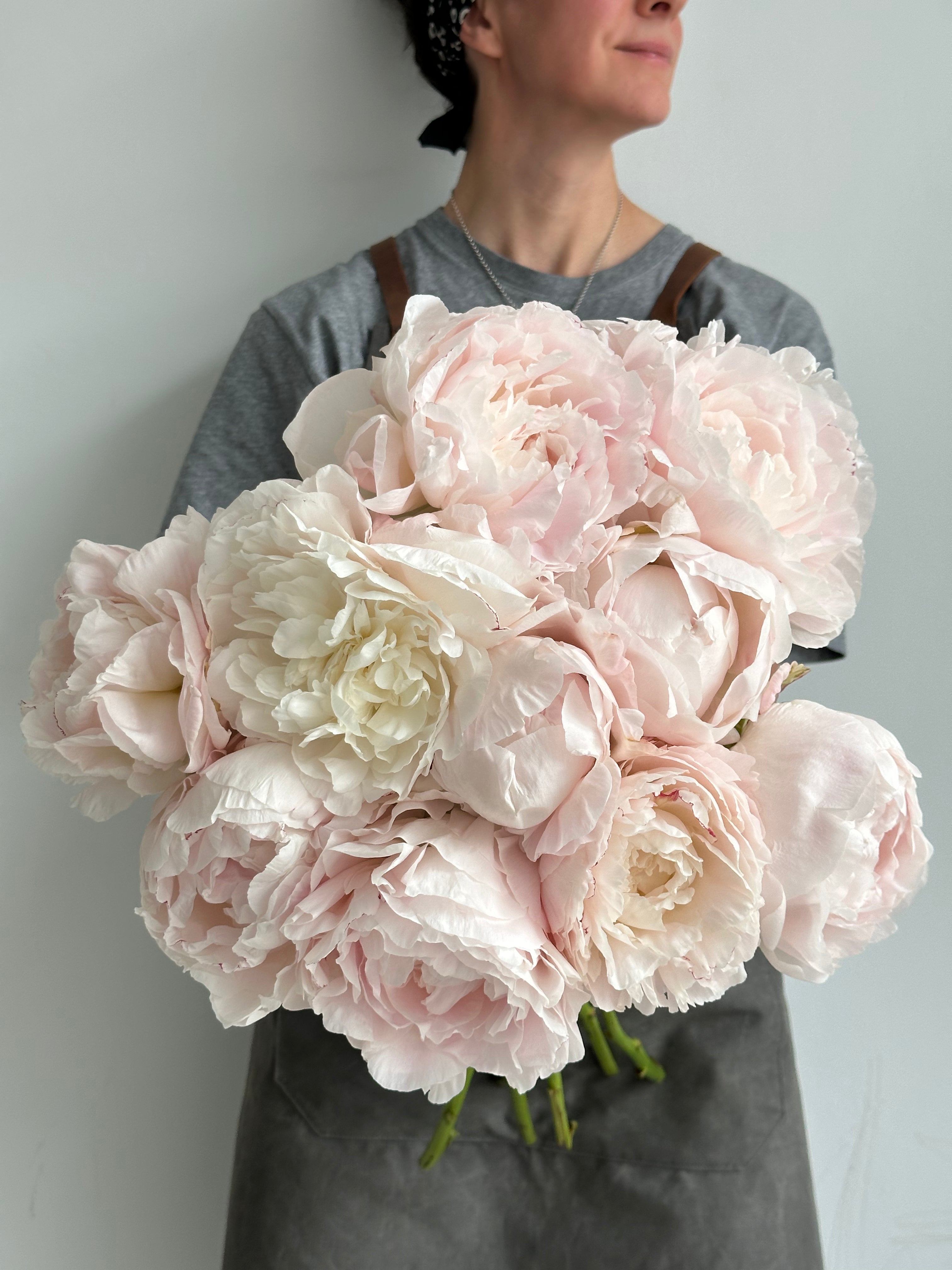 Peony Mother's Choice