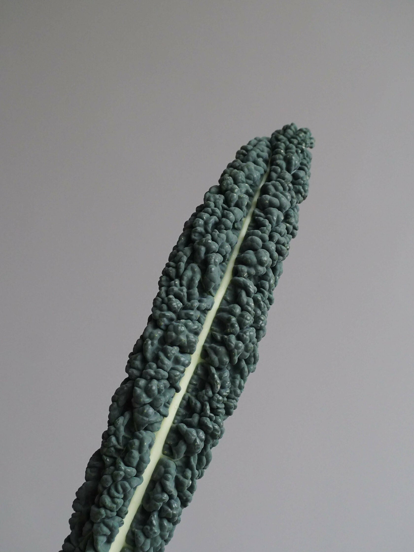 Kale Black Magic