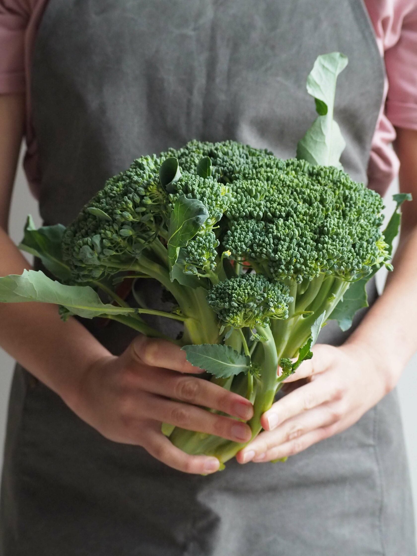 Broccoli de Cicco