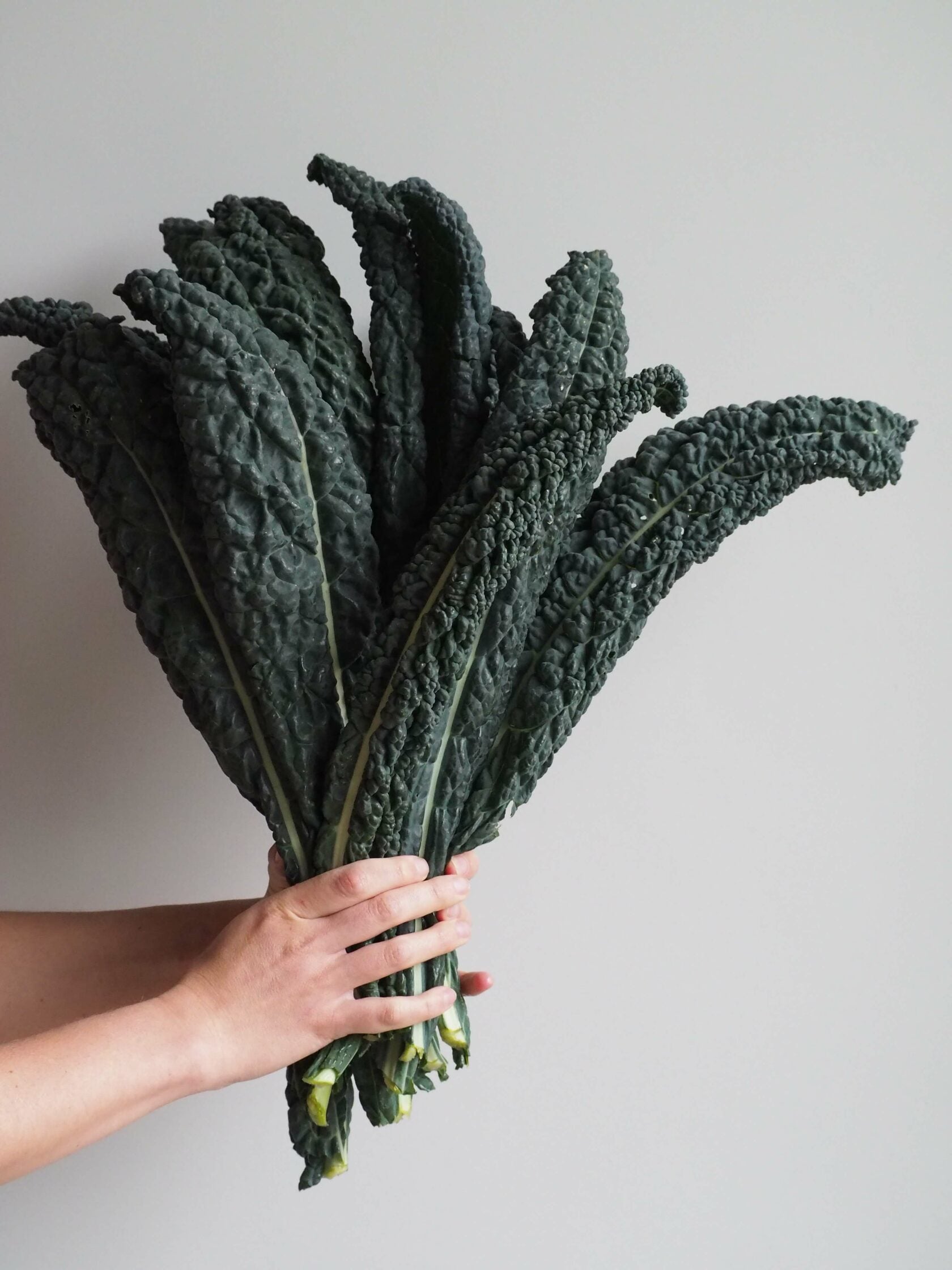 Kale Black Magic