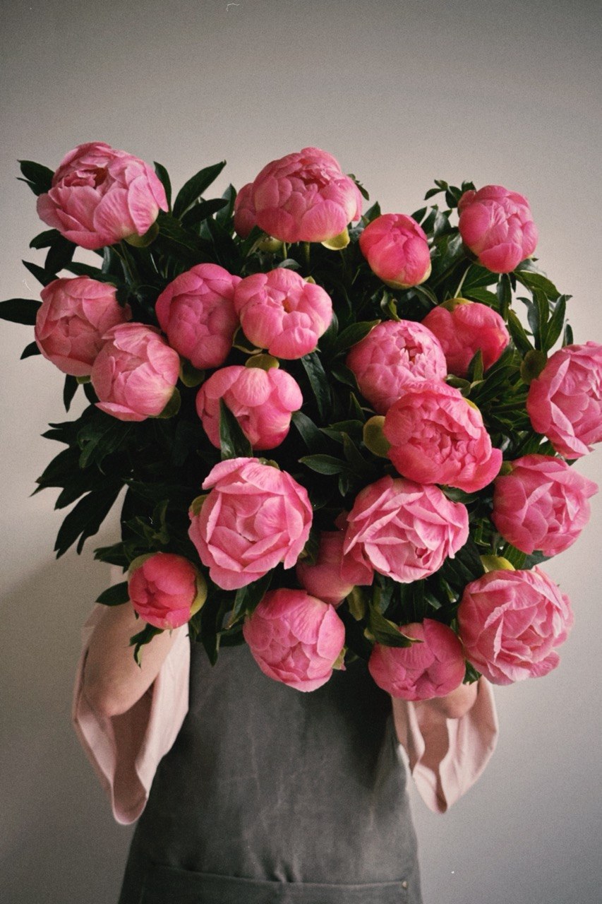 Peony Coral Charm