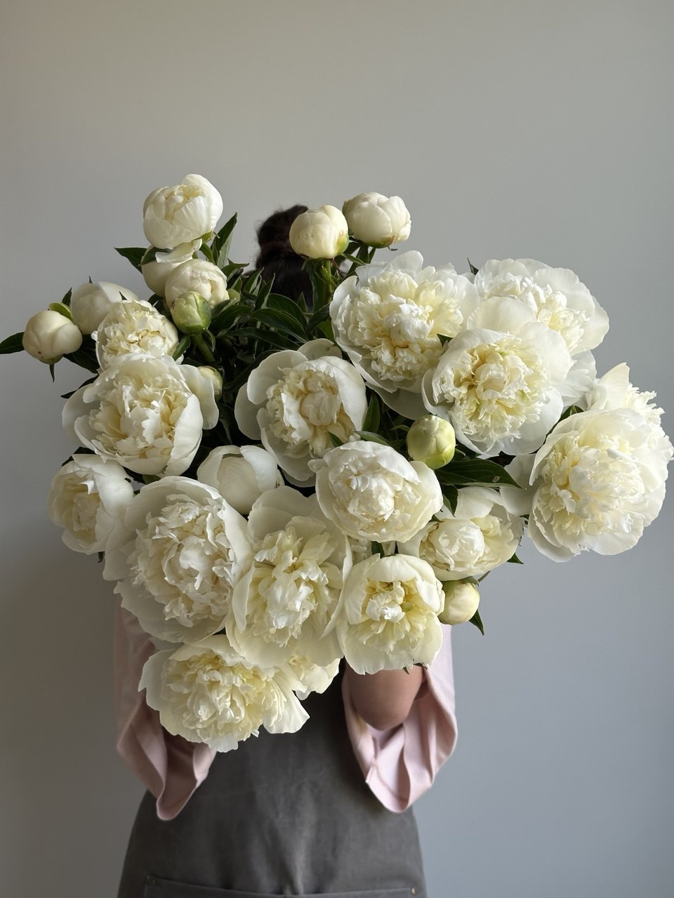 Peony Duchesse de Nemours