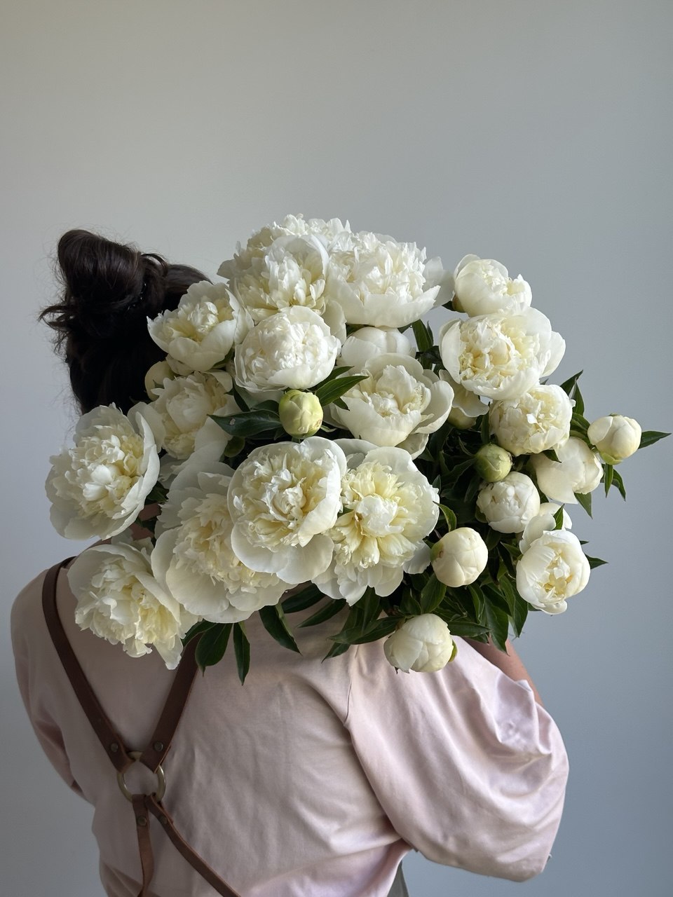 Peony Duchesse de Nemours