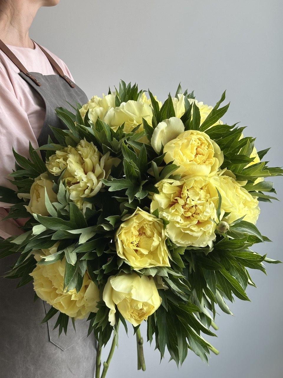 Peony Bartzella