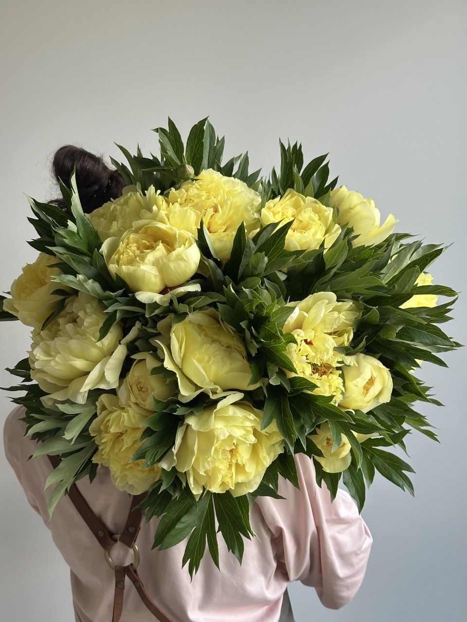 Peony Bartzella