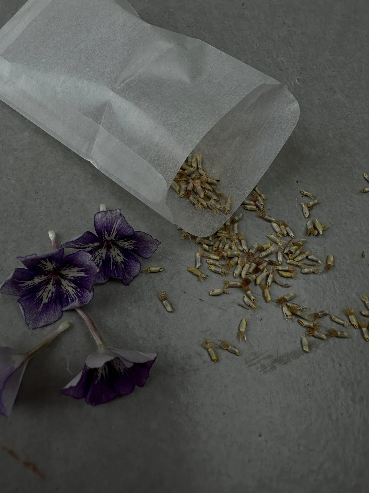About seeds - useful tricks to store and germinate your seeds