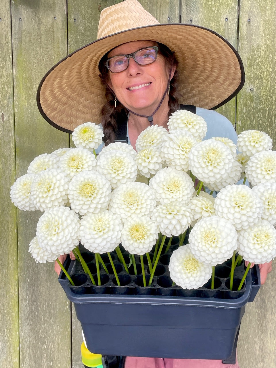 Kristine Albrecht: The breeder behind KA’s® dahlias