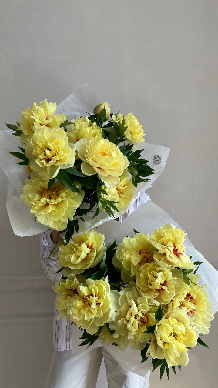 Peony Bartzella