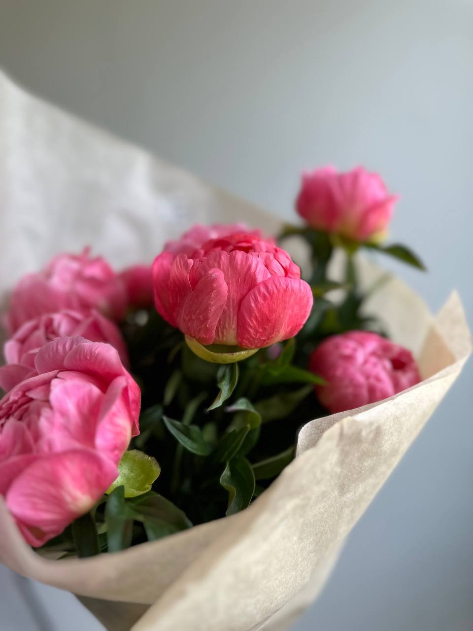 Peony Coral Charm