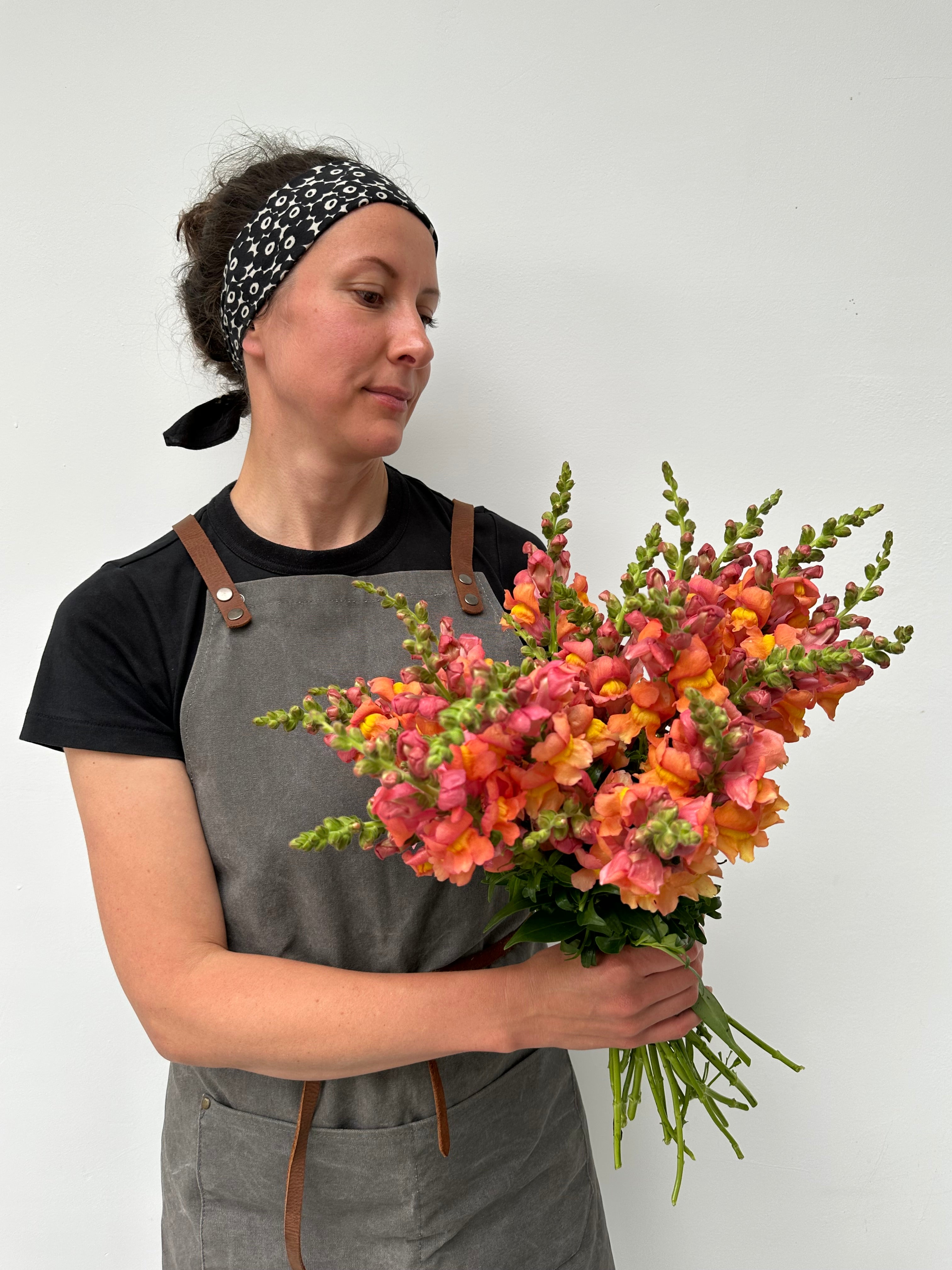 Antirrhinum-majus-Rocket-Bronze-FluffyFlower