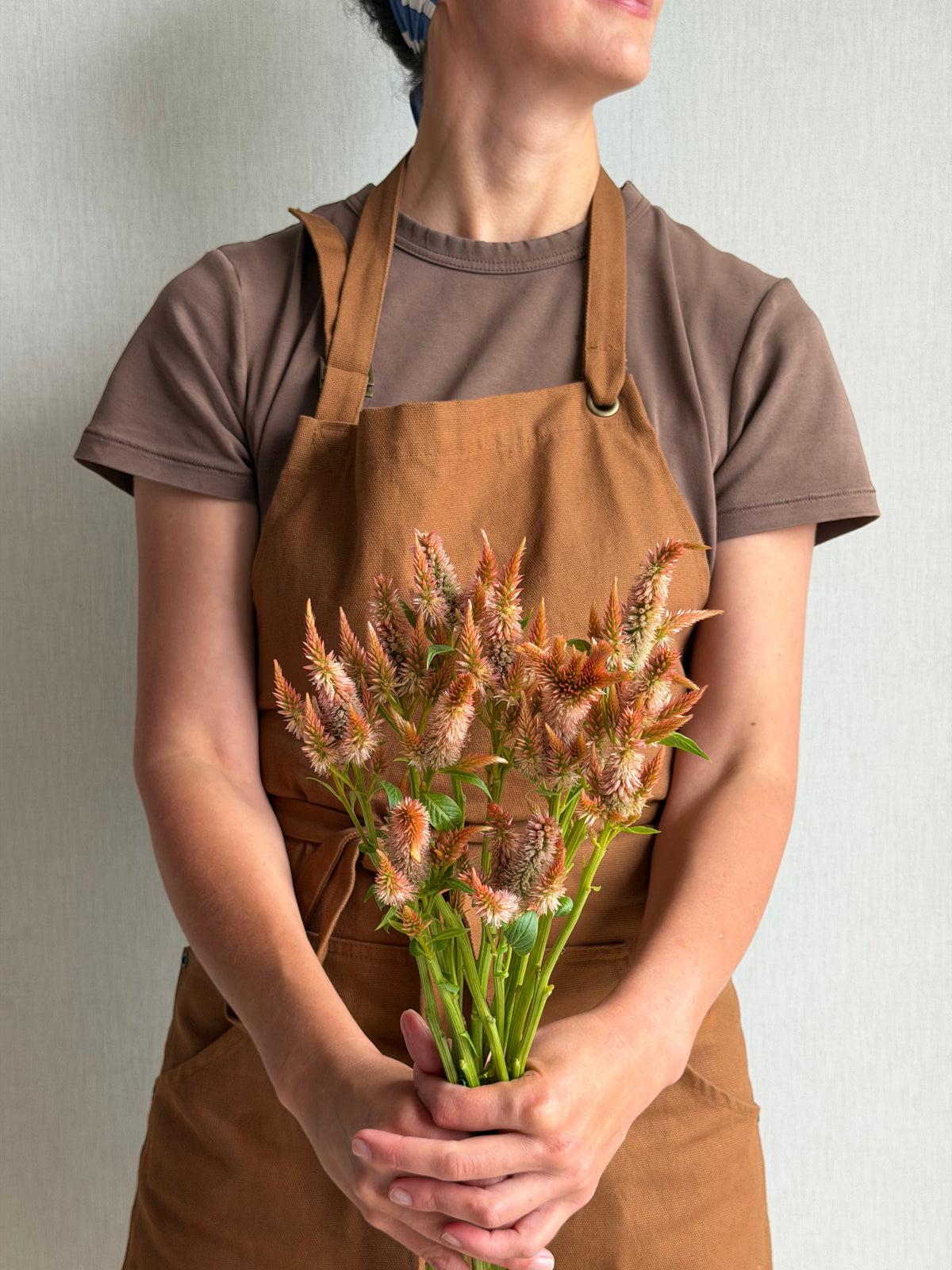 Celosia Celway Terracotta-FluffyFlower