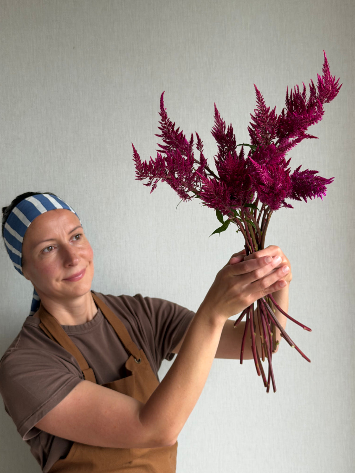 Celosia Sangria Mix-FluffyFlower