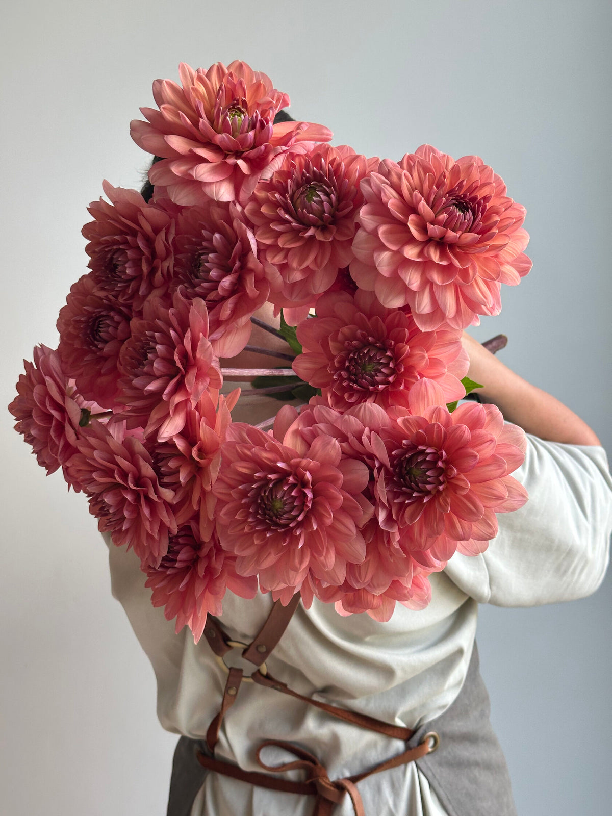 Dahlia Chateau de la Bourdaisiere_FluffyFlower