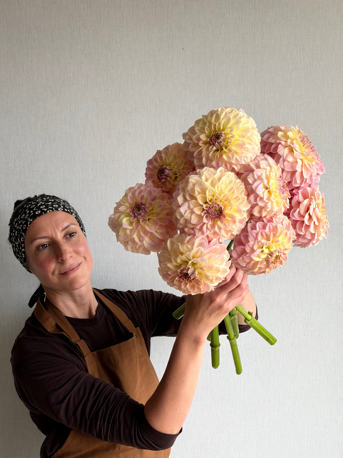 Dahlia Coorabell Astrid-FluffyFlower