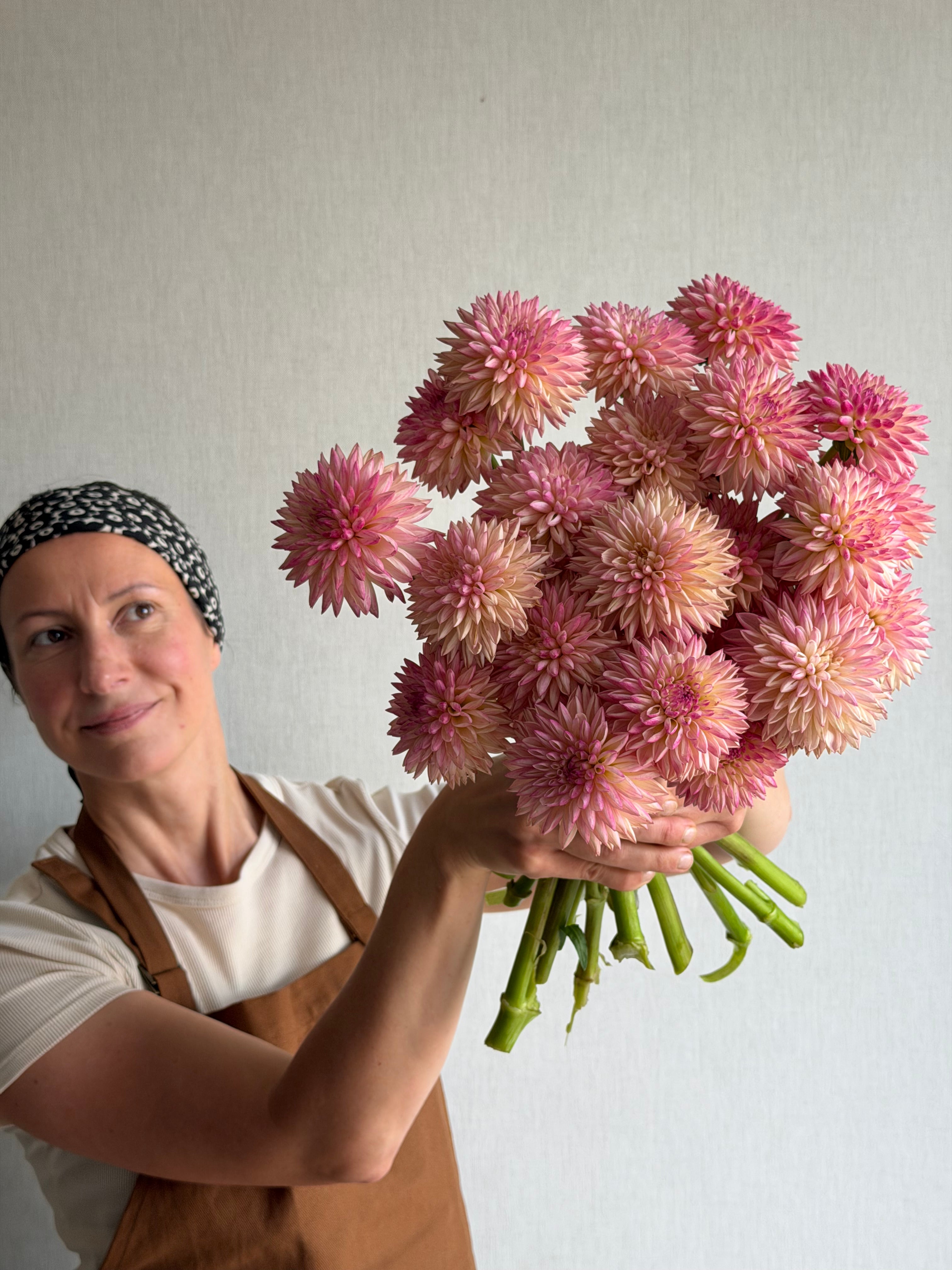 Dahlia-Valley-Porcupine-FluffyFlower
