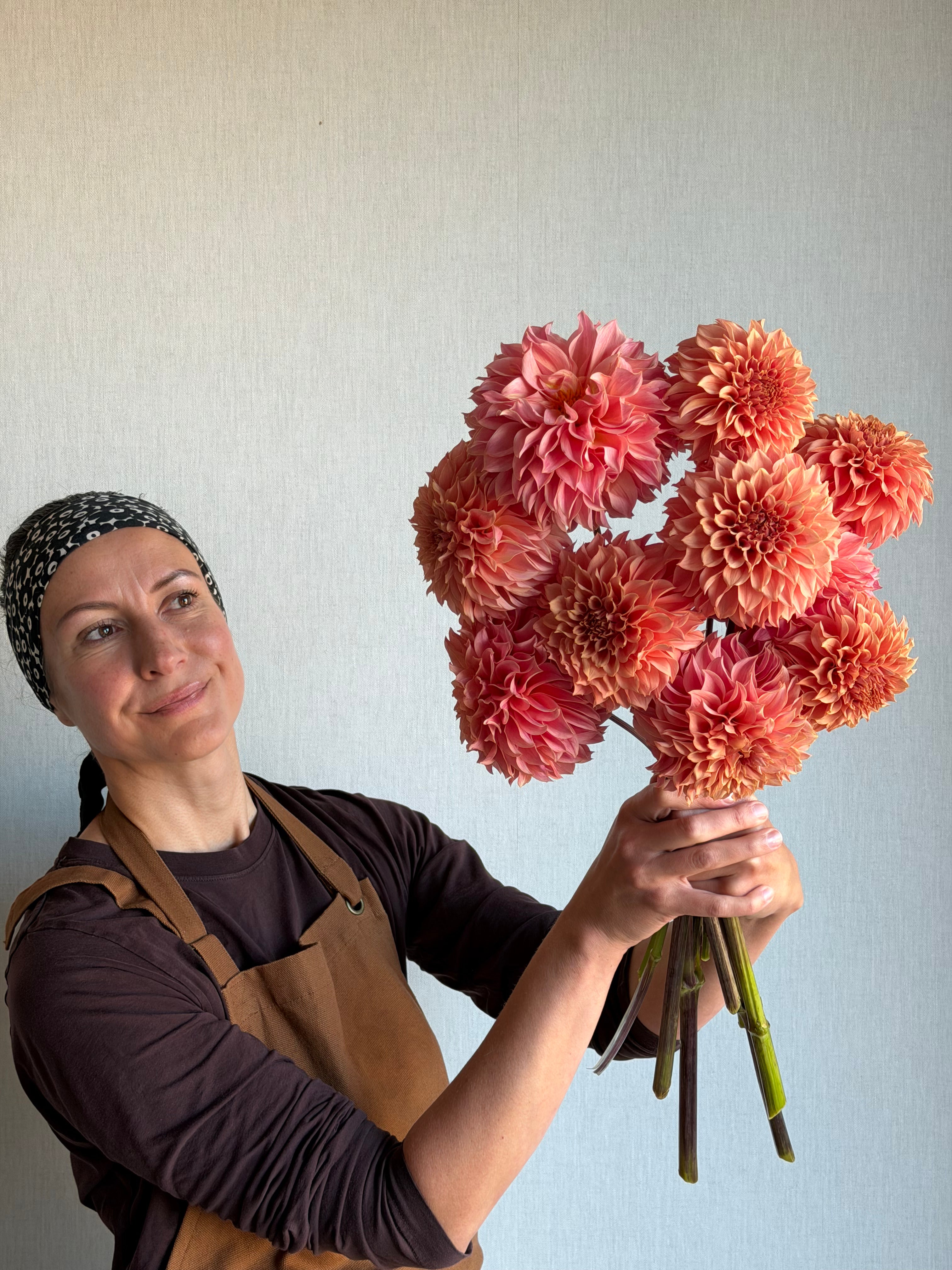 Dahlia KA's Coral Sea - FluffyFlower