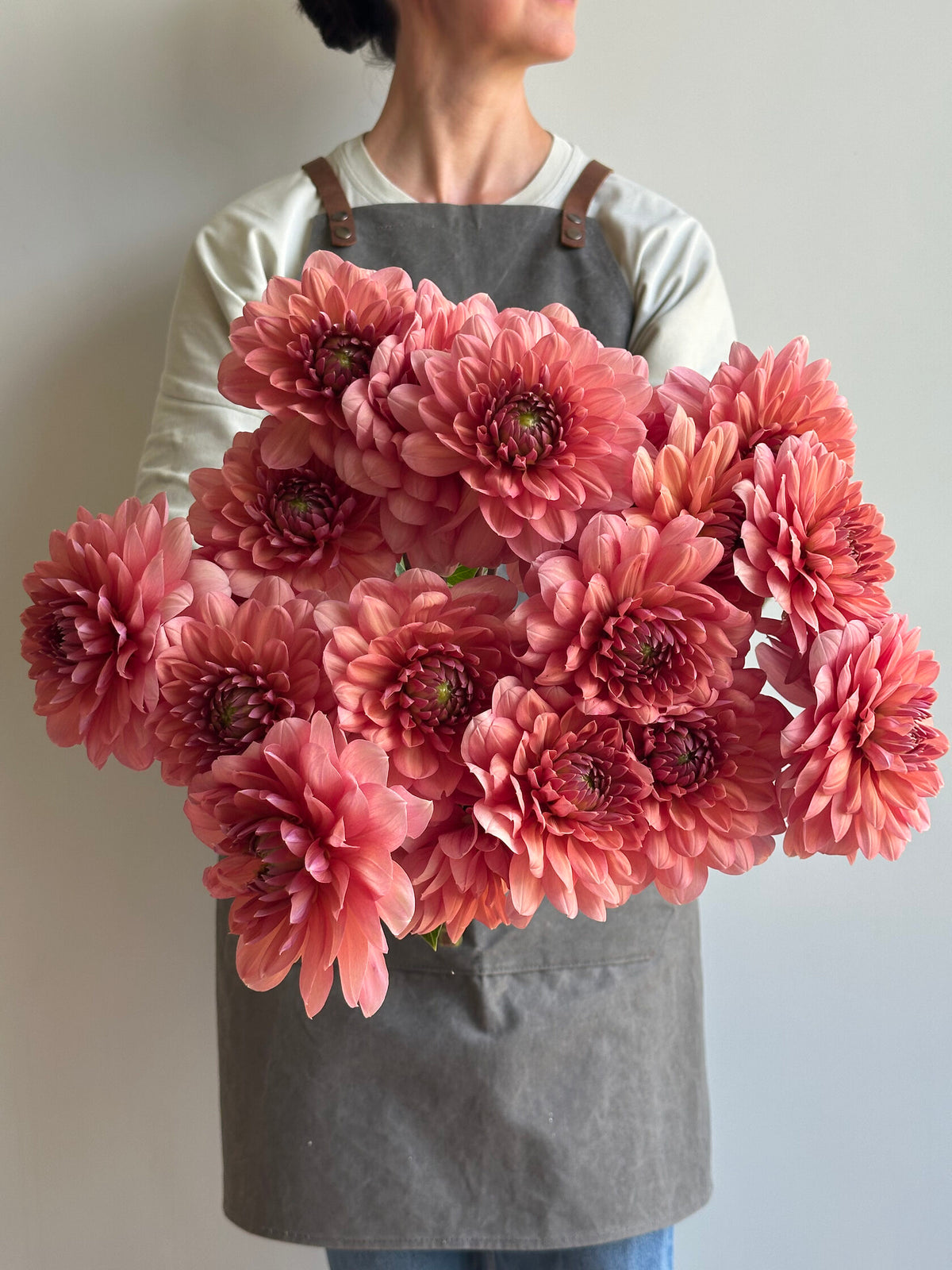 Dahlia Chateau de la Bourdaisiere_FluffyFlower