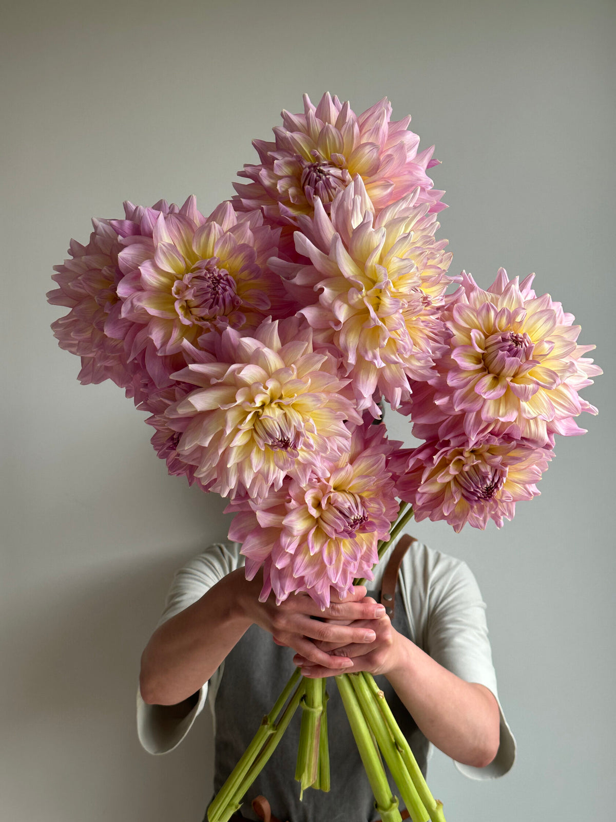 Dahlia KIdd's Climax - FluffyFlower