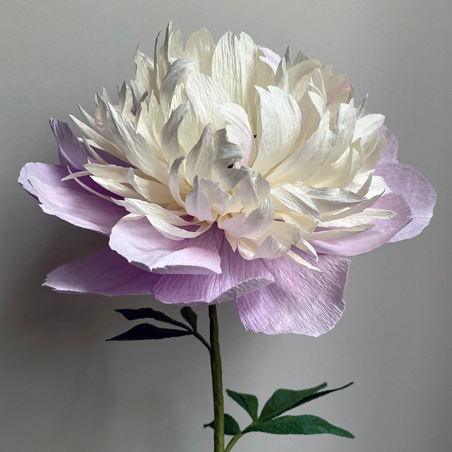 Peony Bowl of Beauty