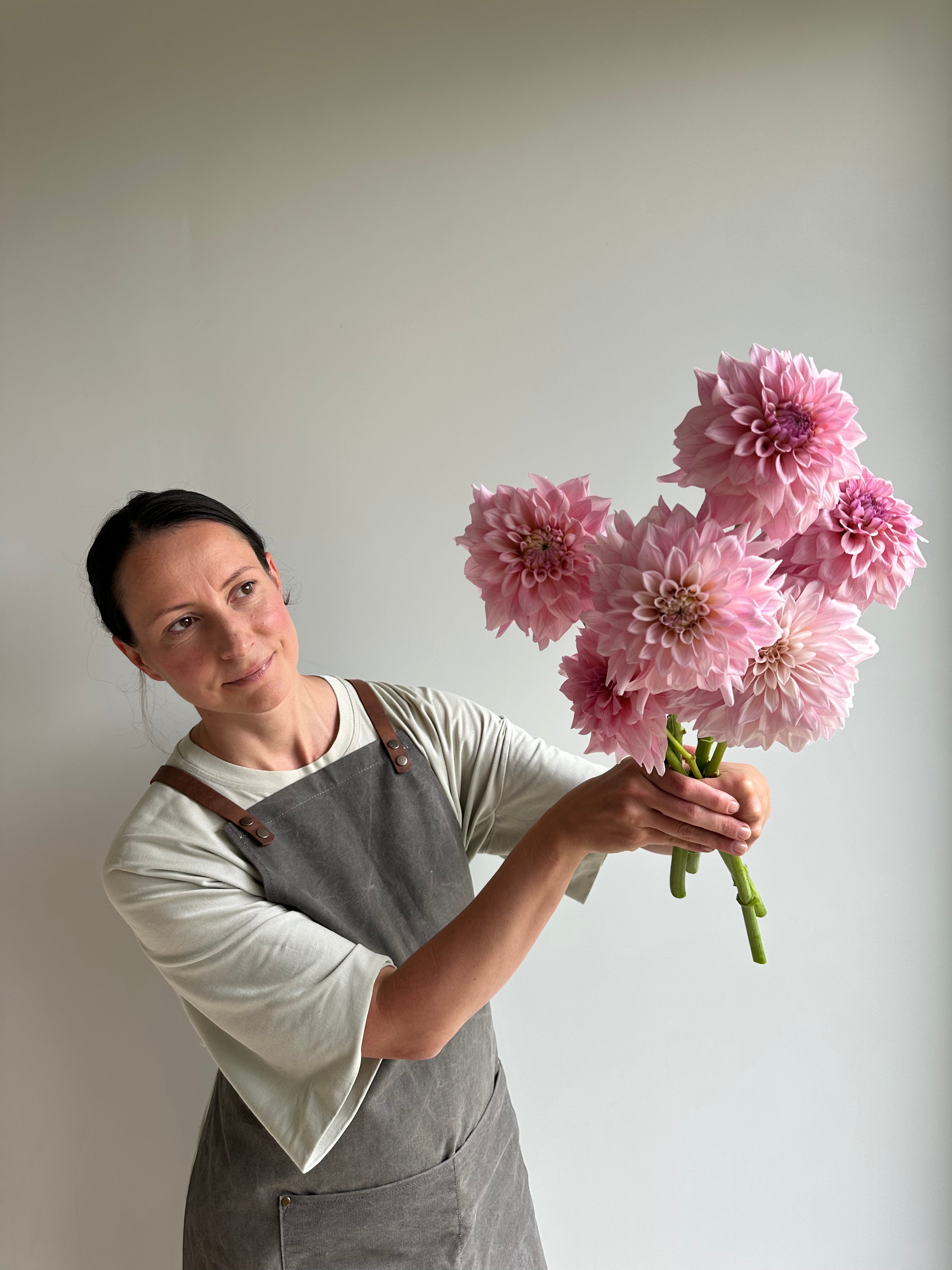 Dahlia KA's Mocha Jake