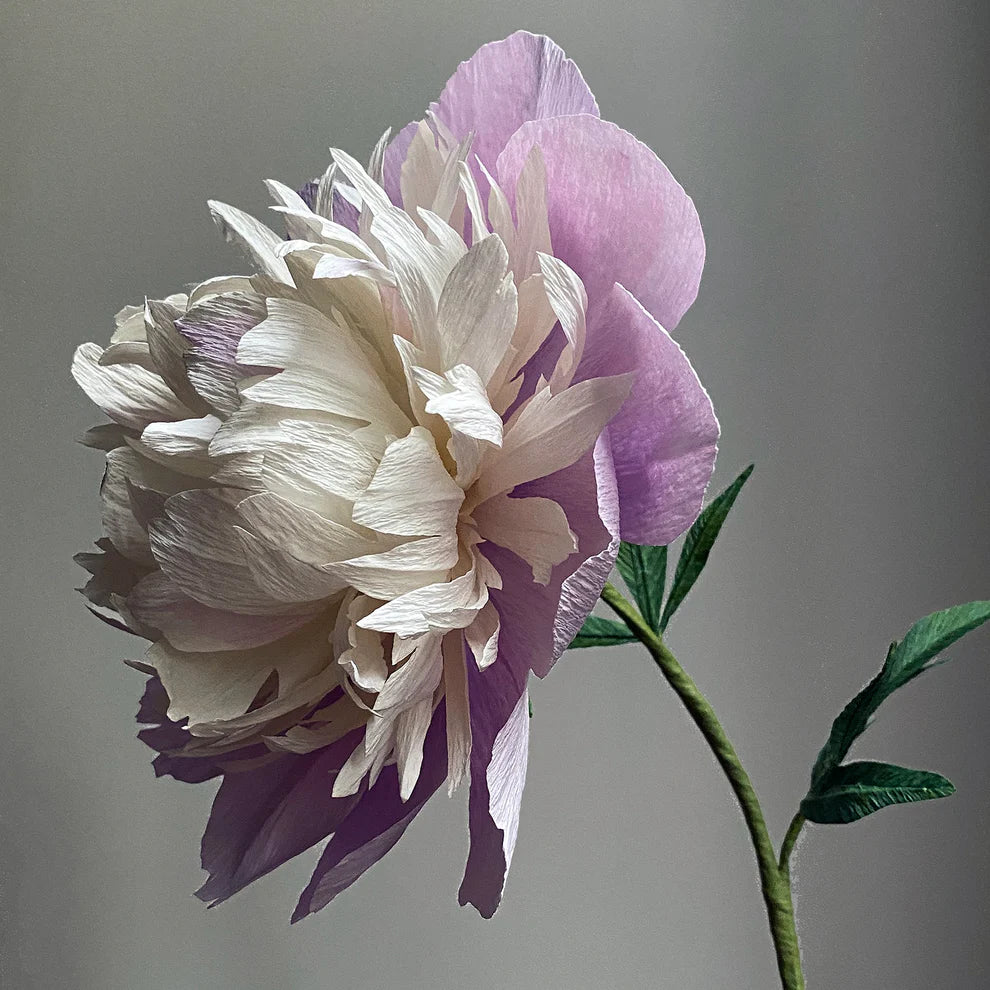 Peony Bowl of Beauty