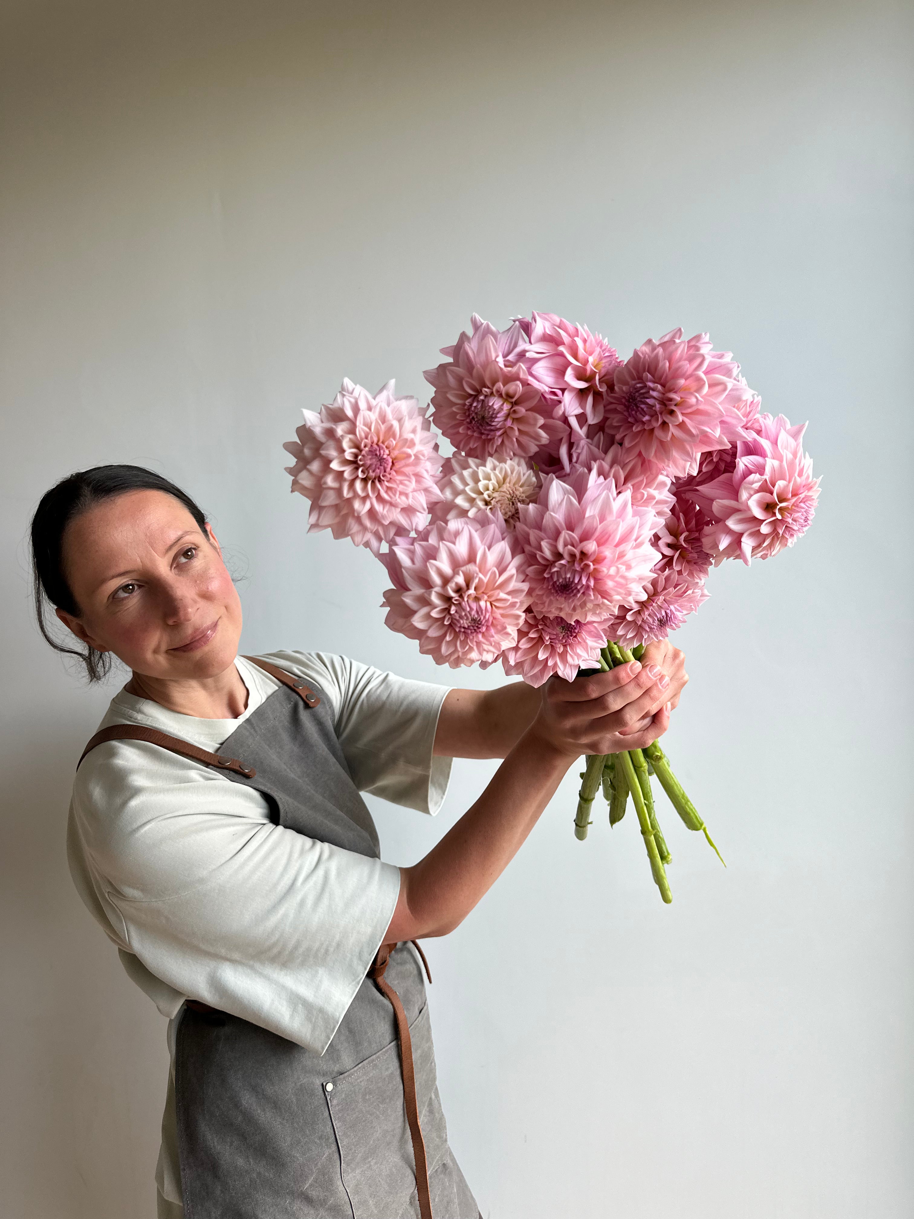 Dahlia KA's Mocha Jake