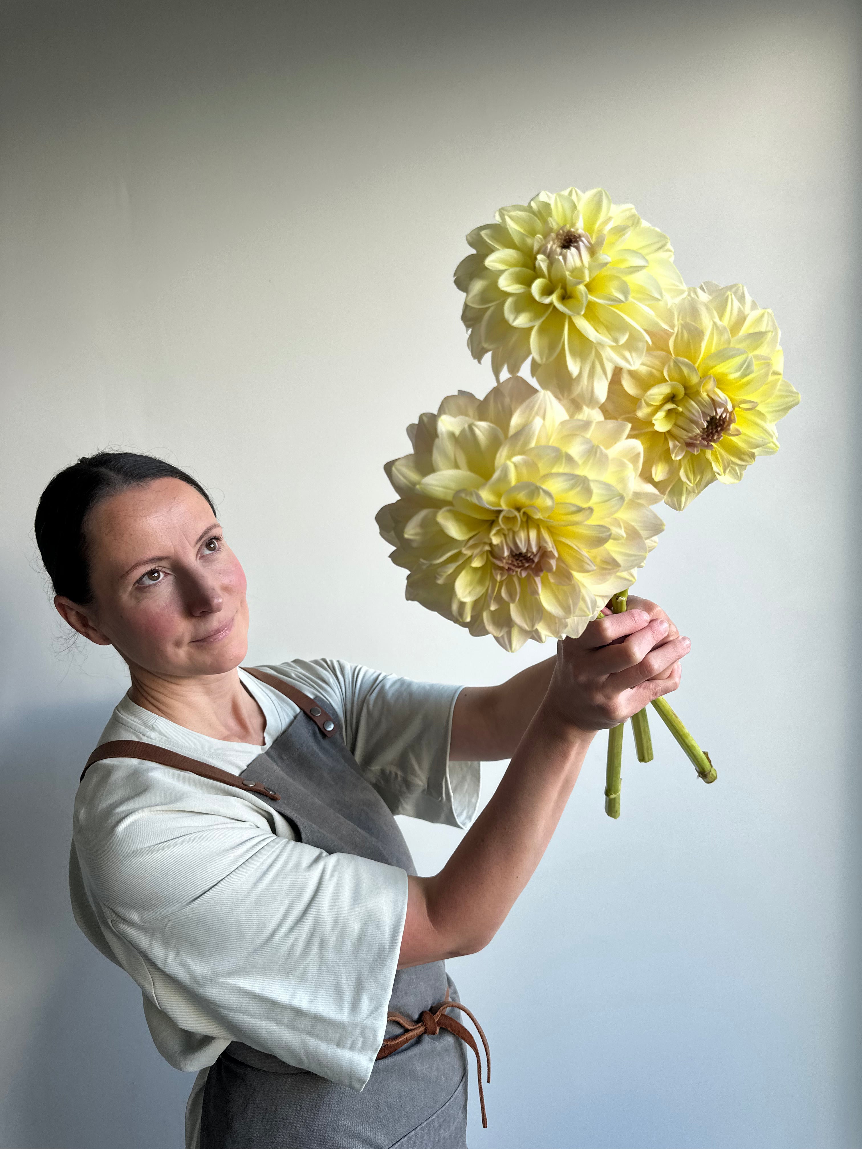 Dahlia Alloway Cottage