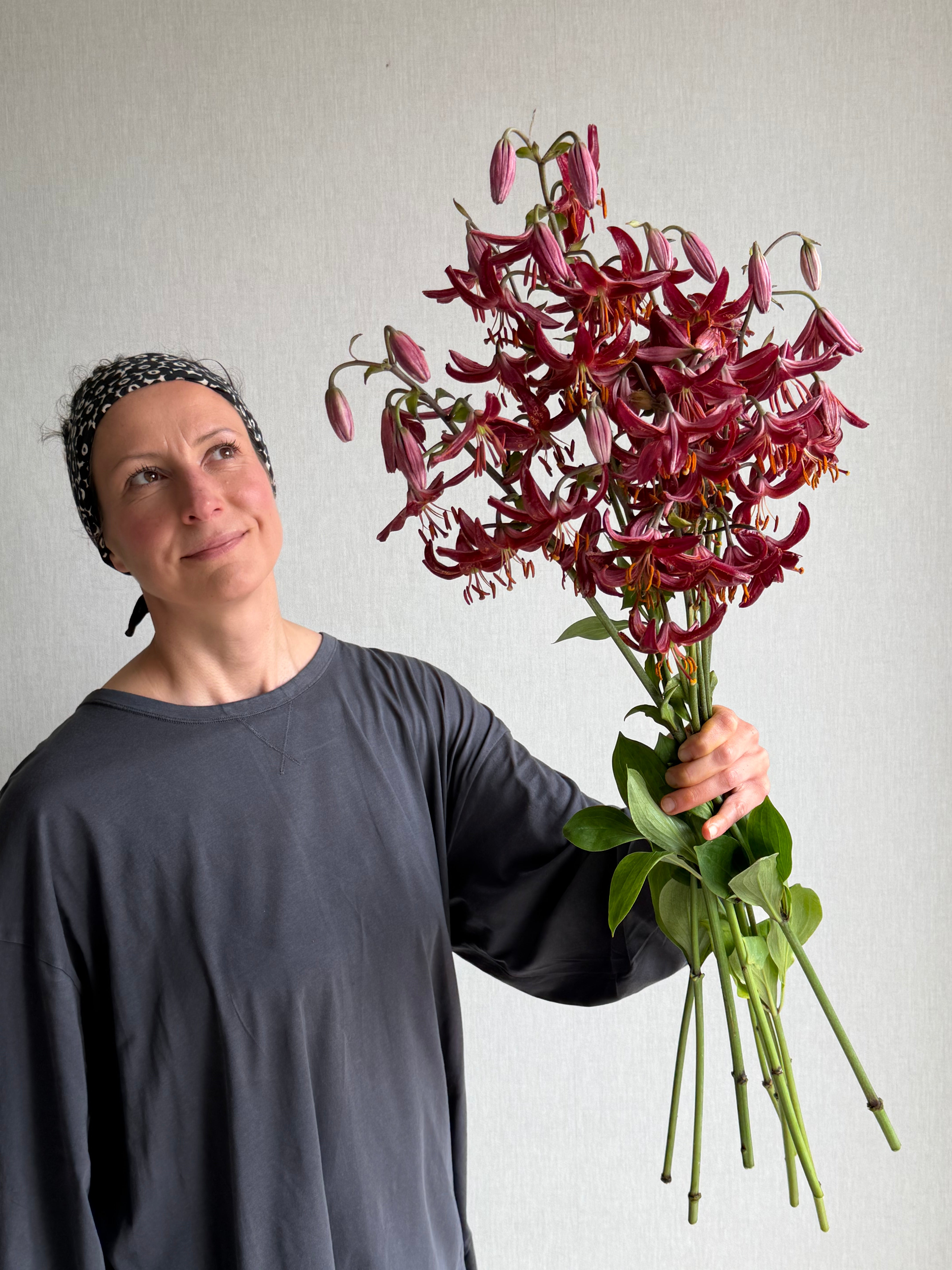 Martagon Lily Claude Shride