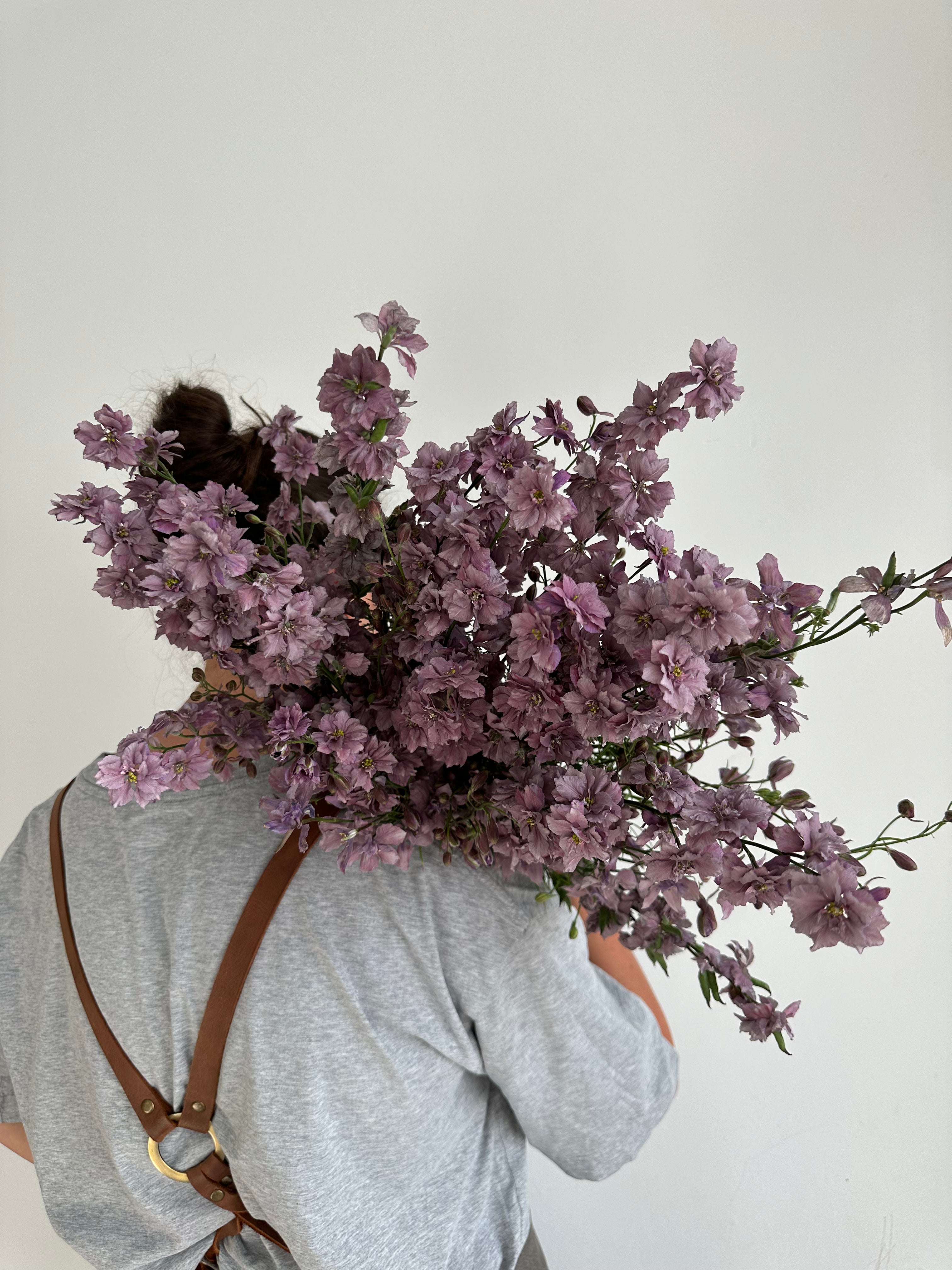 Larkspur Misty Lavander