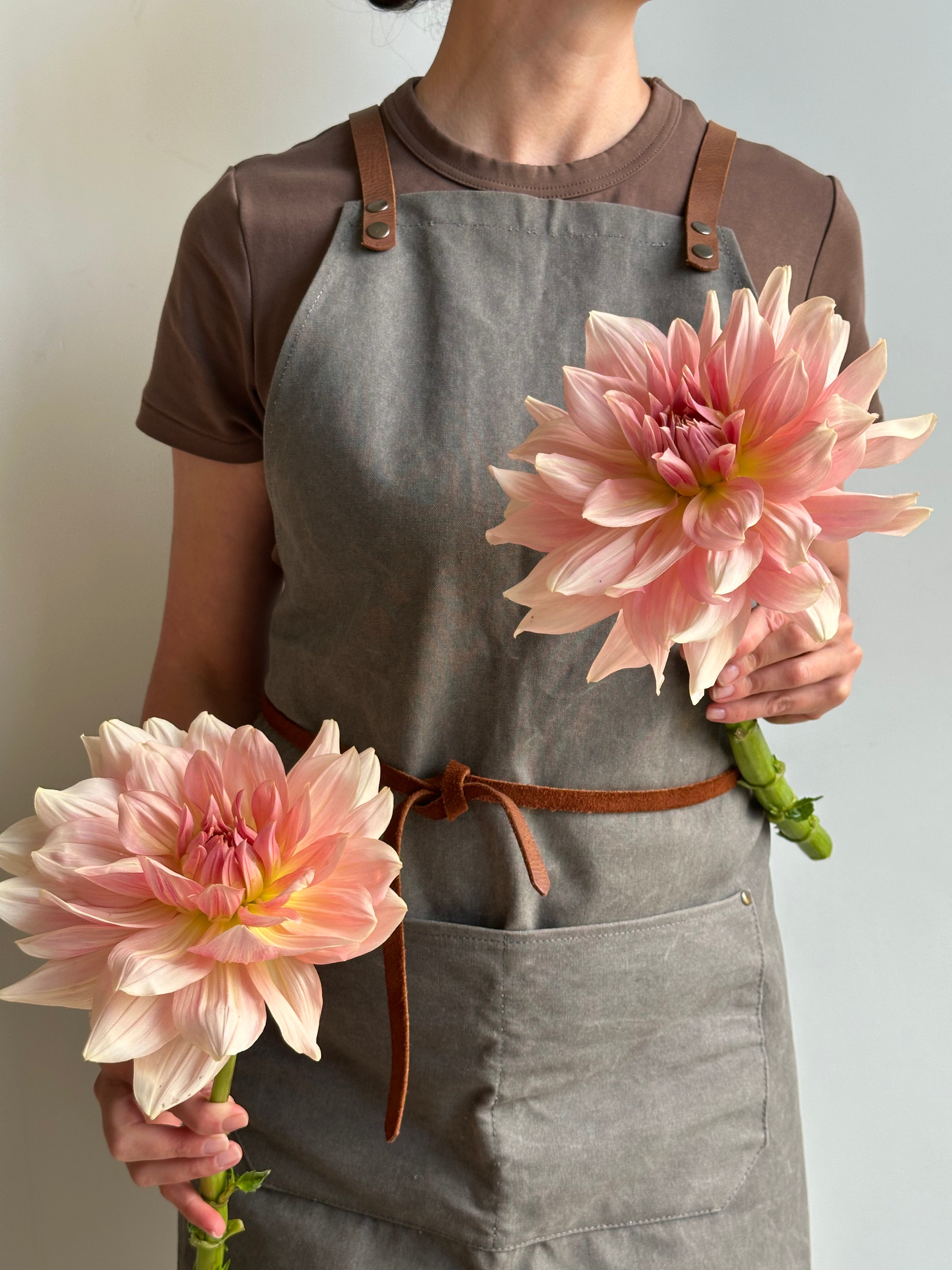 Dahlia Fairway Pilot