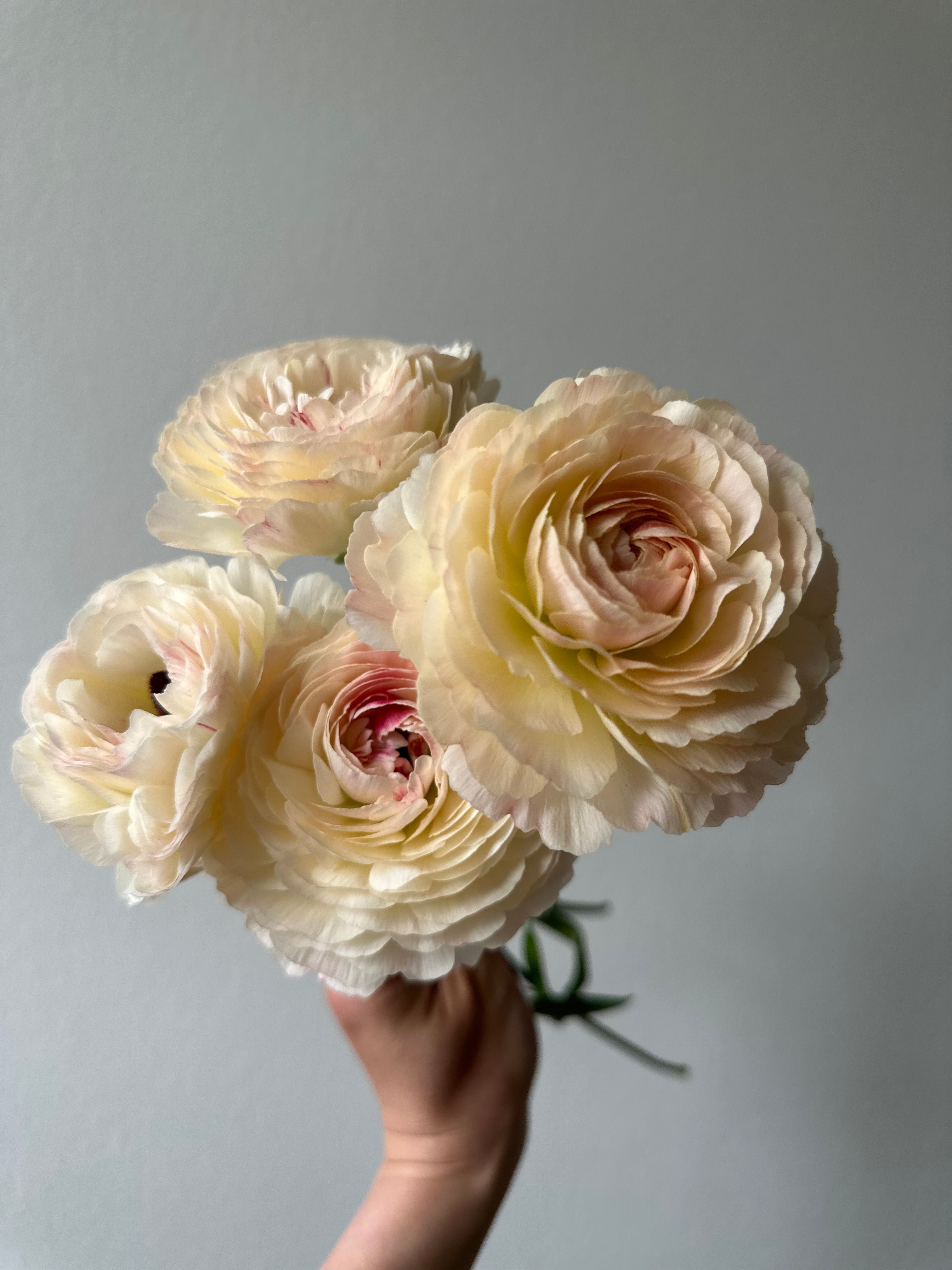 Romance Maritime