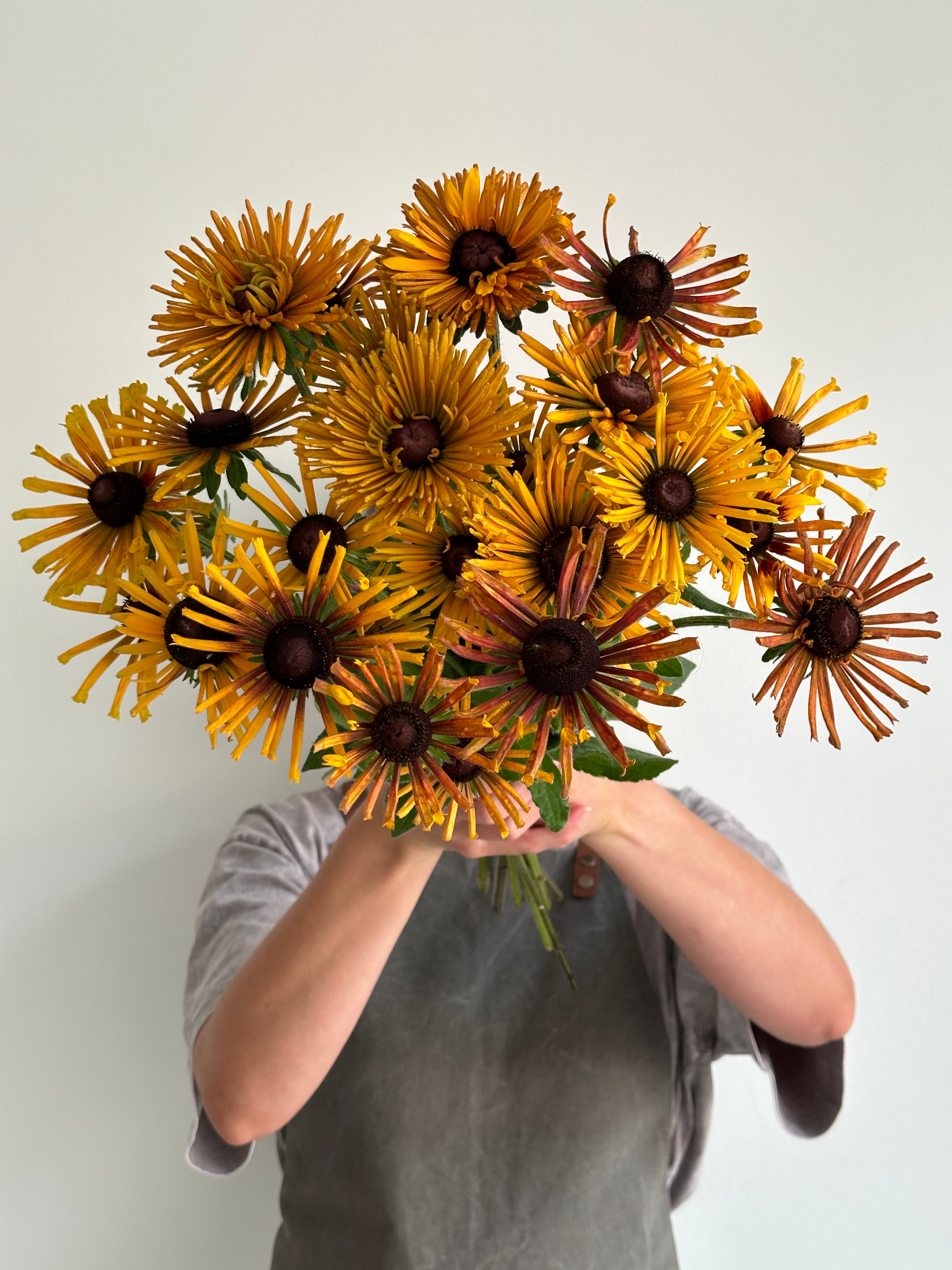 Rudbeckia Chim Chiminee