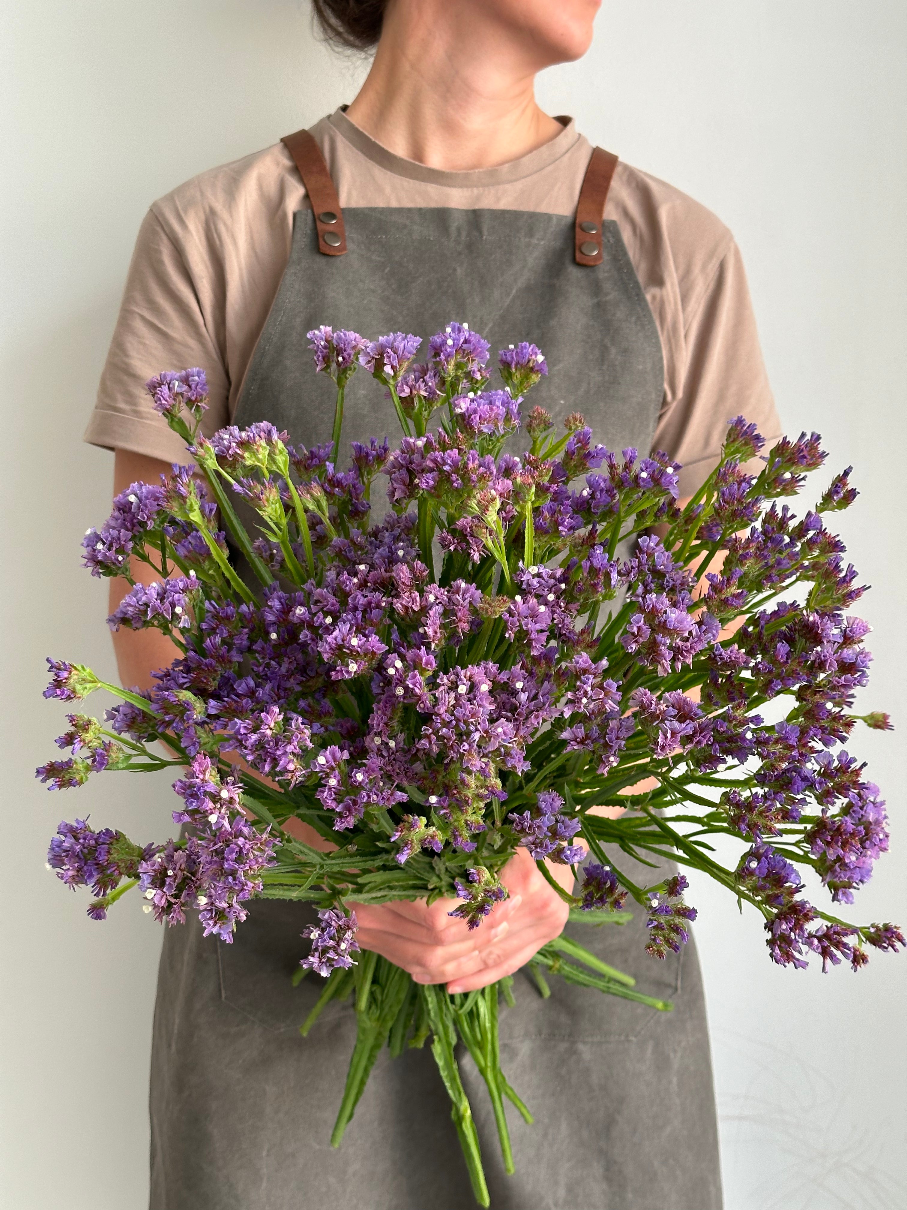 Statice (Limonium) QIS Pale Blue