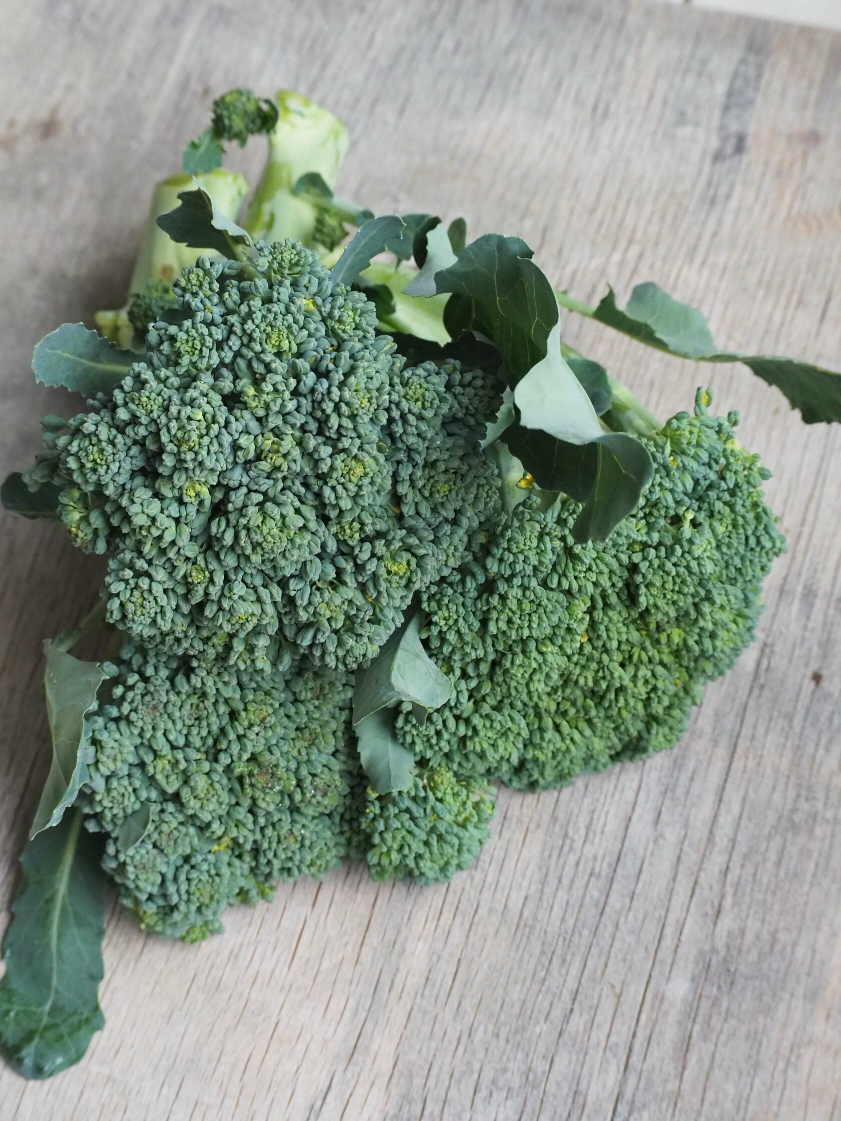 Broccoli de Cicco