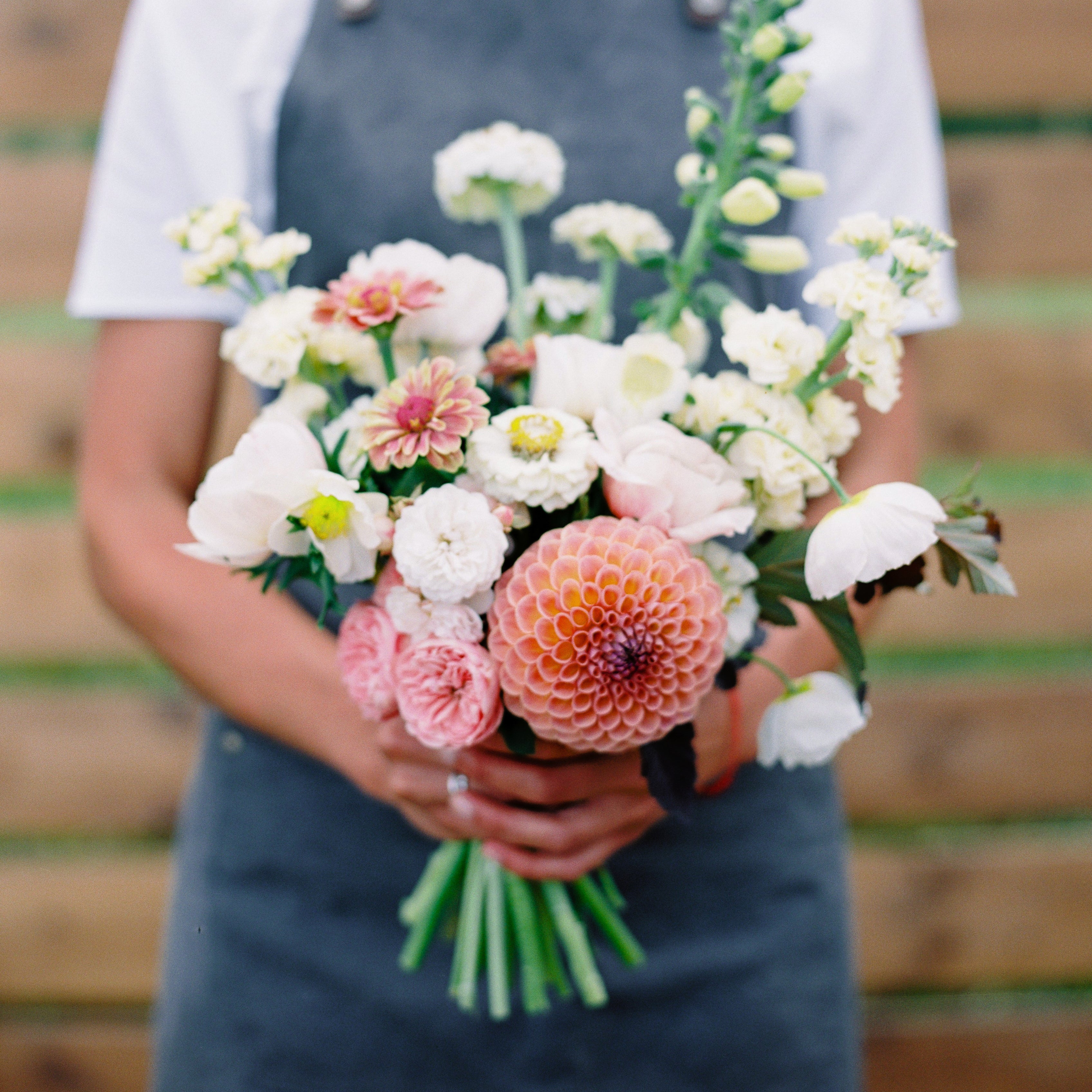 Zinnias