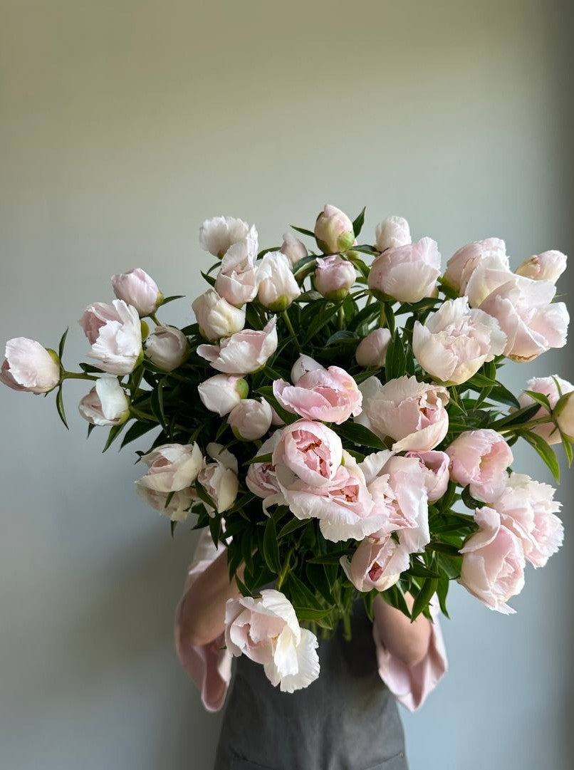 Peony Krinlked White