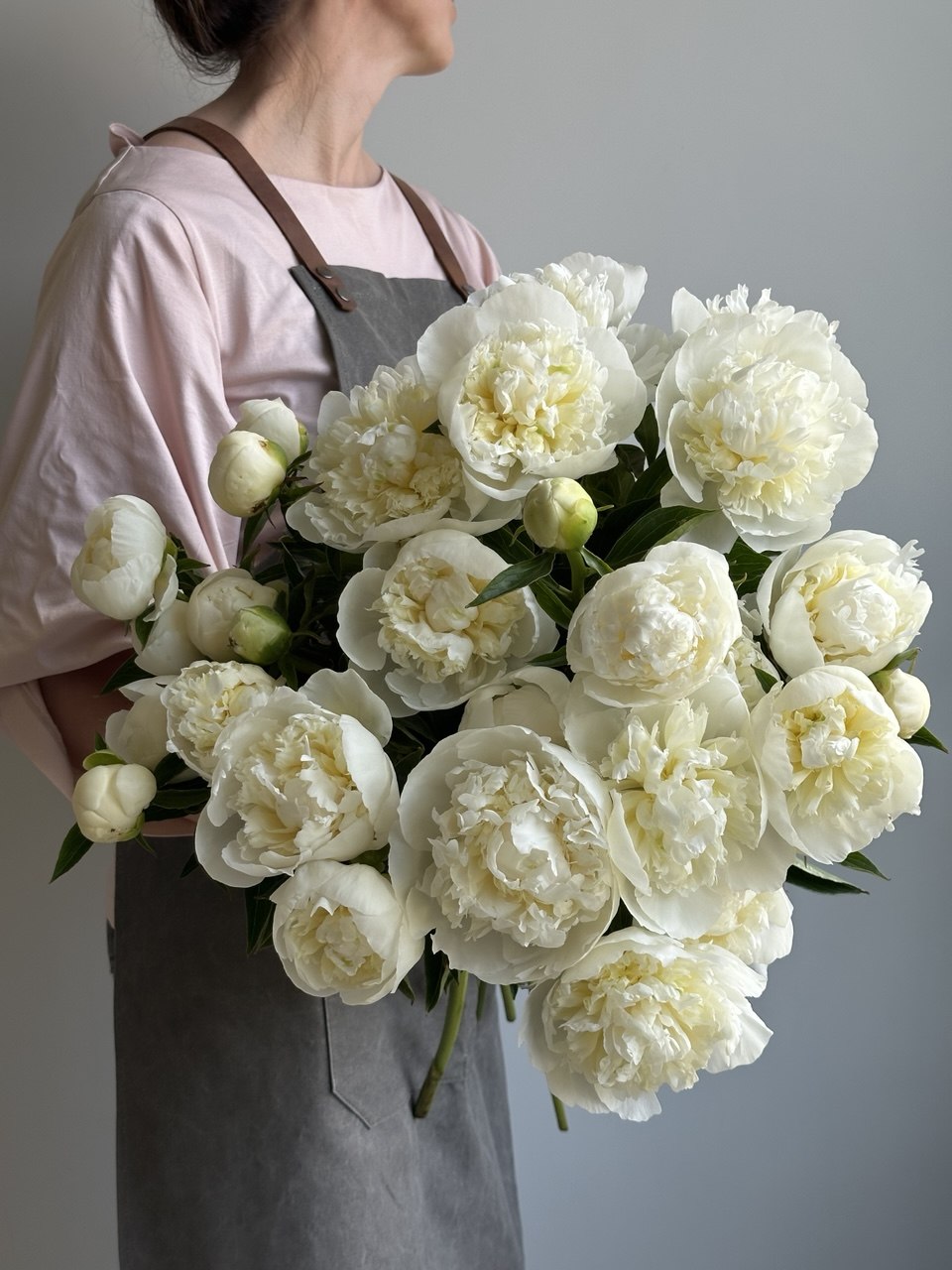 Peony Duchesse de Nemours