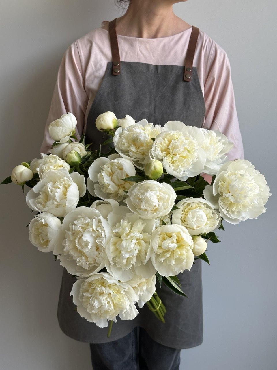 Peony Duchesse de Nemours